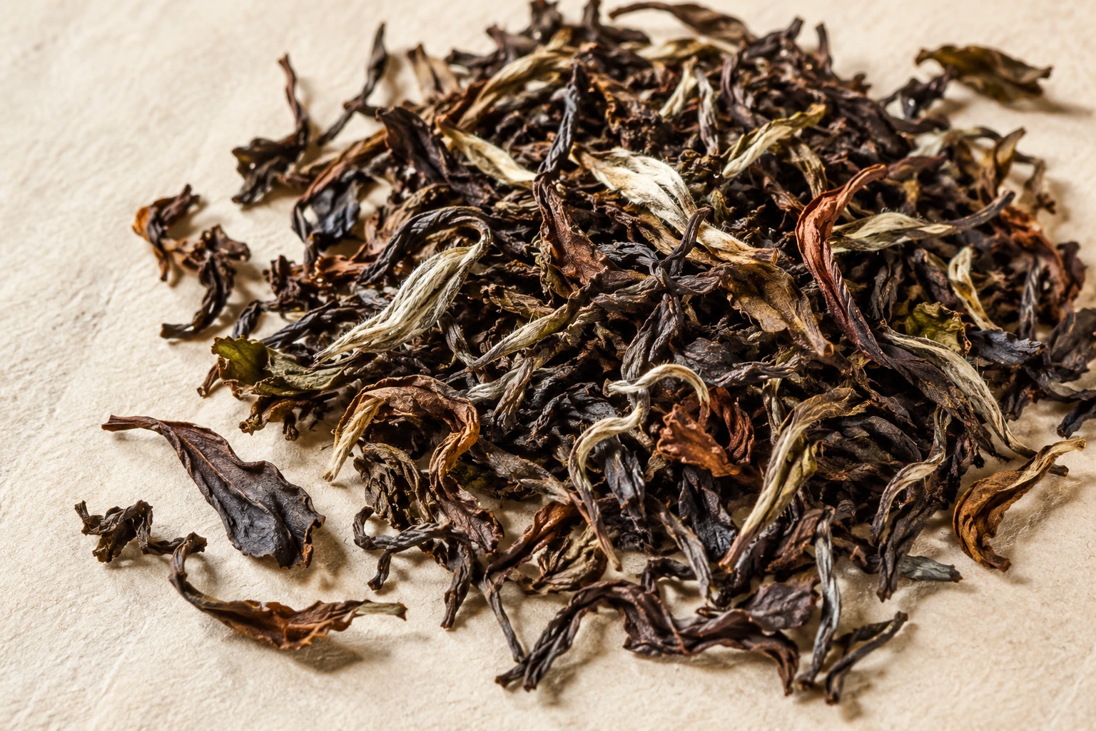 AI-generated editorial photograph of multicolored twisted oriental beauty oolong leaves with silver tips; illustrative, not authenticated botanical or product evidence.