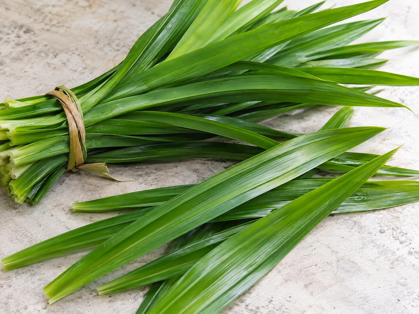 AI-generated editorial photograph of fresh pandan leaves bundled with long green blades on pale stone; illustrative, not authenticated specimen or product evidence.