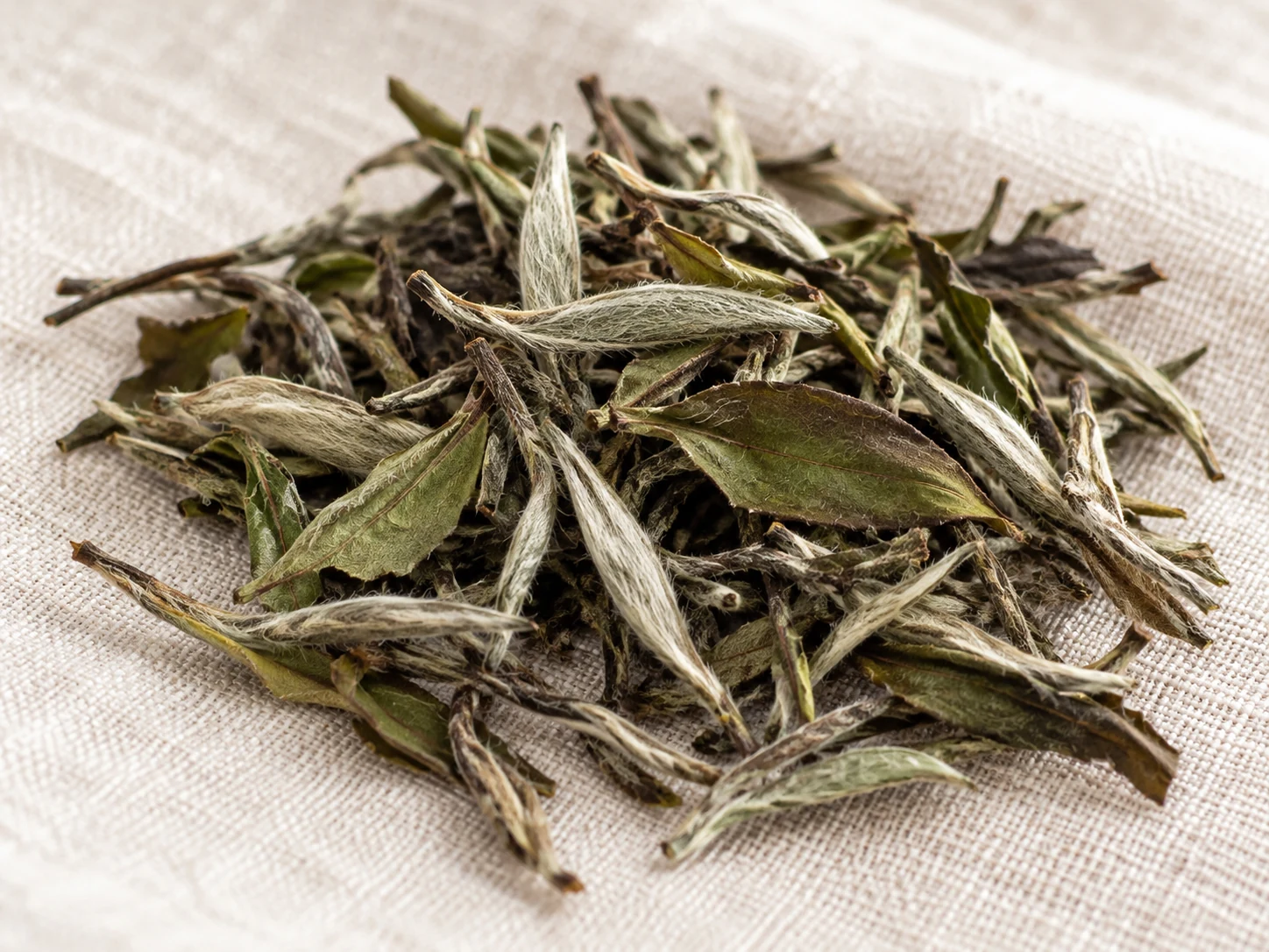 AI-generated editorial photograph of White Peony (Bai Mudan) white tea buds and mature processed leaves on ivory linen