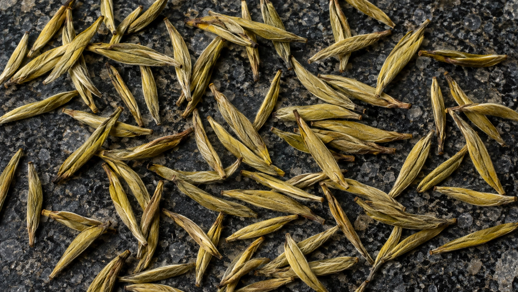 AI-generated editorial image: Light-colored elongated tea buds on slate; illustrative white-tea styling